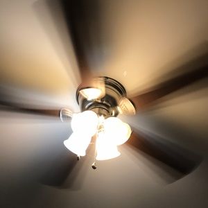 Meet your Posher, Brigitta